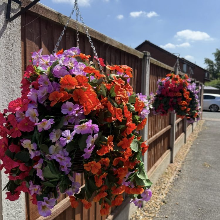 “Serena” Trailing Hanging Basket